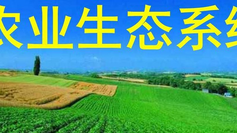 农庄民宿定制，尺寸规格如何选择？**