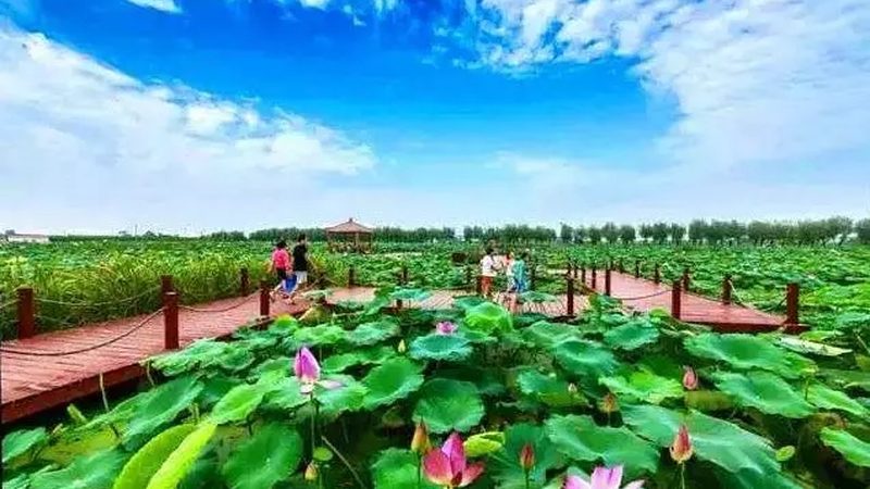 生鲜冷链物流设备：参数解析与选型要点