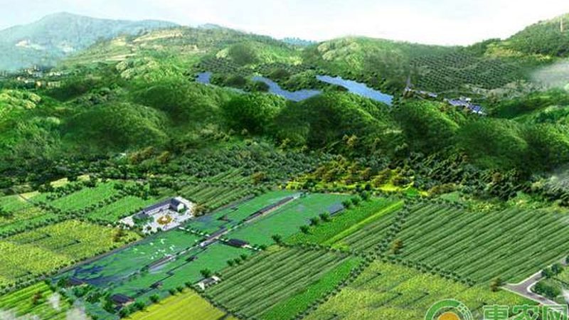 粮食种植公司规模如何衡量：关键参数解析**