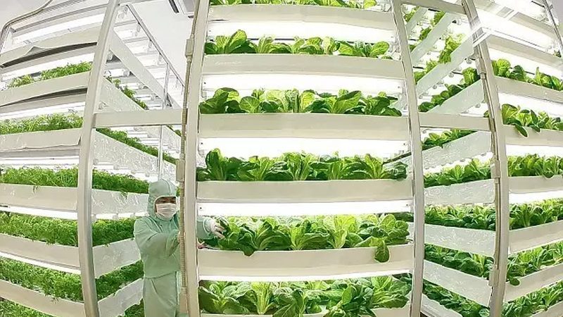 果蔬配送代理加盟：费用构成与合理评估