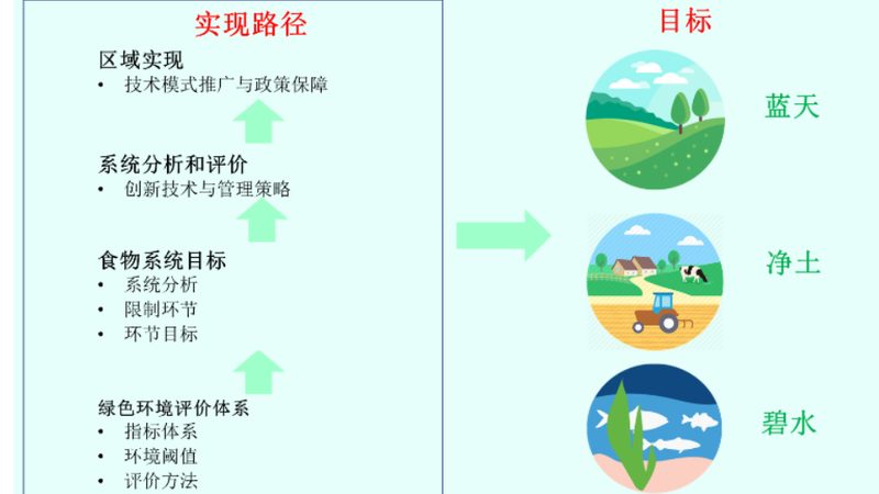 农业喷灌与滴灌：灌溉技术的智慧选择