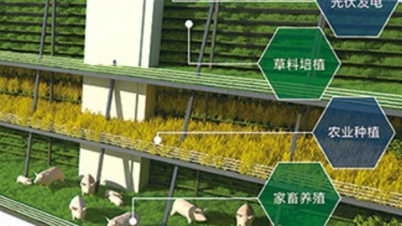 智慧农业无人机植保：未来农业的空中力量