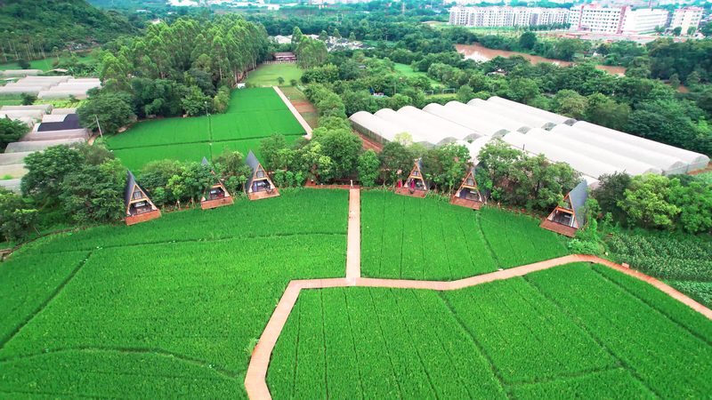 家庭农场选址规划：关键要素与误区解析**