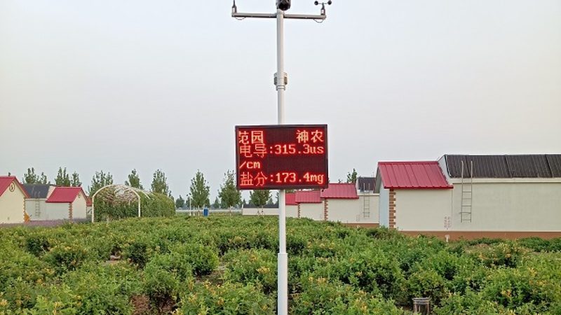 绿色食品认证标识：揭秘十大品牌背后的奥秘