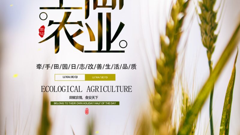 农村农业项目招标公告：揭秘招标流程与关键要点**